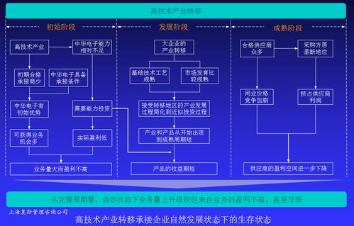高技術(shù)產(chǎn)品企業(yè)盈利能力提升案例Ⅳ 以戰(zhàn)略咨詢?yōu)榛c(diǎn)，驅(qū)動(dòng)技術(shù)賦能與價(jià)值變現(xiàn)
